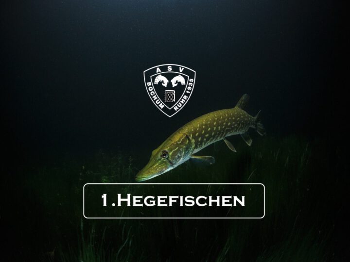 1. Hegefischen 2025