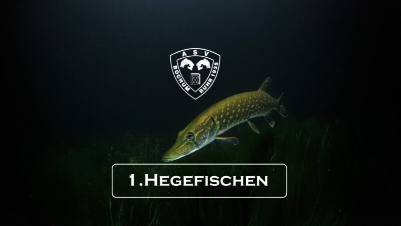 1. Hegefischen 2025